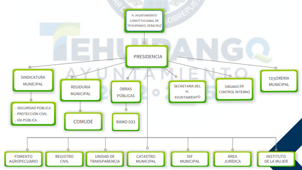 ORGANIGRAMA